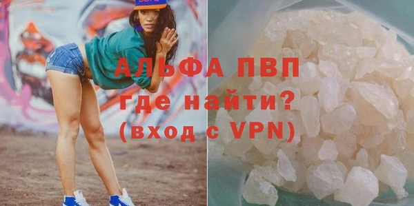 стаф Новокубанск