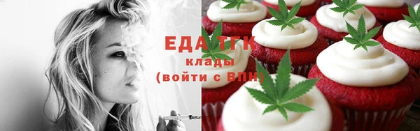 прущие грибы Новозыбков