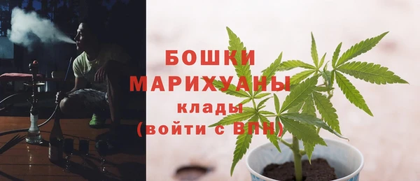 шишки Нефтегорск