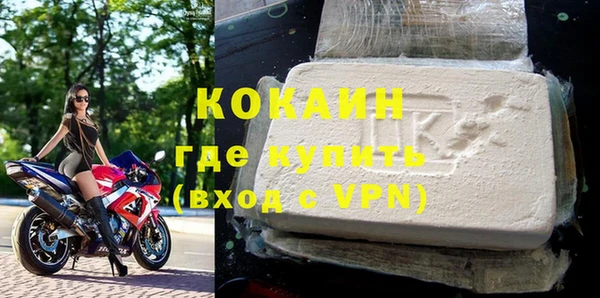 прущие грибы Новозыбков