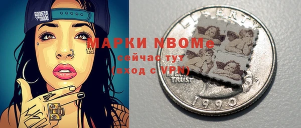 стаф Новокубанск