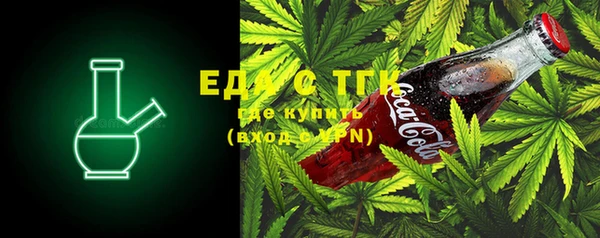 прущие грибы Новозыбков