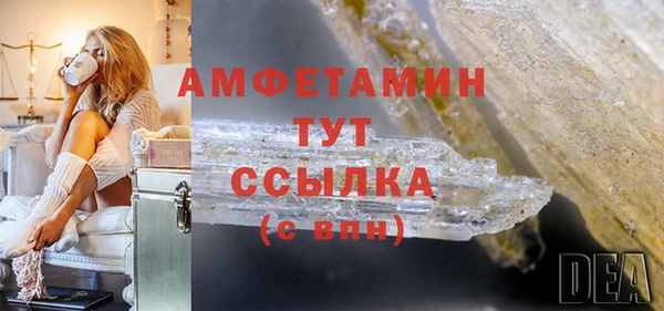 стаф Новокубанск