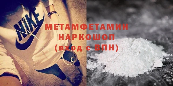 прущие грибы Новозыбков