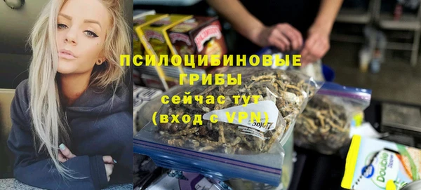 PSILOCYBIN Беломорск