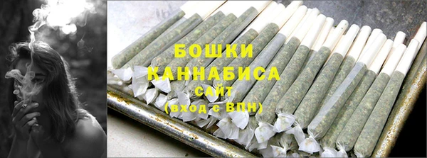 прущие грибы Новозыбков