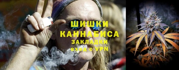 прущие грибы Новозыбков