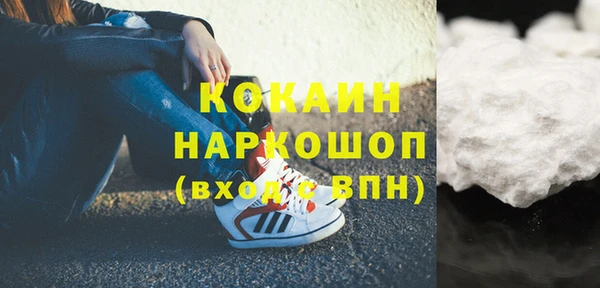 стаф Новокубанск