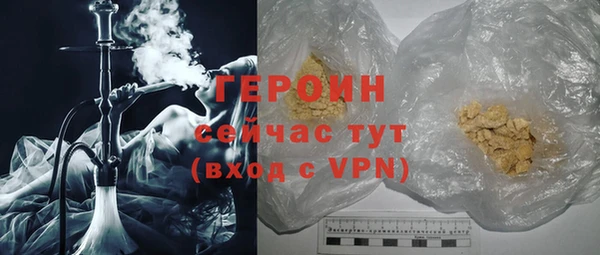 прущие грибы Новозыбков