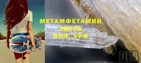 прущие грибы Новозыбков
